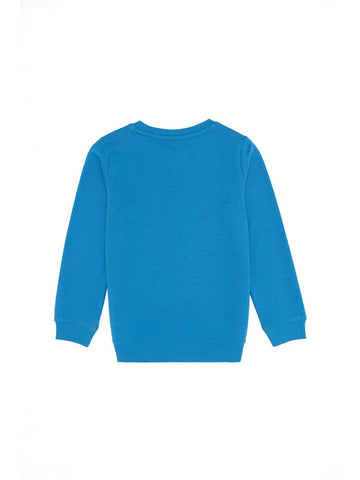 USPA Boys Sweatshirt  Oil VR102 USPSS165